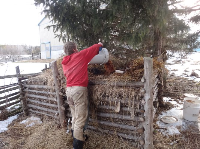 Andre Wiederkehr feeds the compost bin he built with contents from the compost toilet. Both the toilet and compost bin form parts of what Andre and Theo described is an actively managed composting system. Photo by Ruth Isaac Wiederkehr.