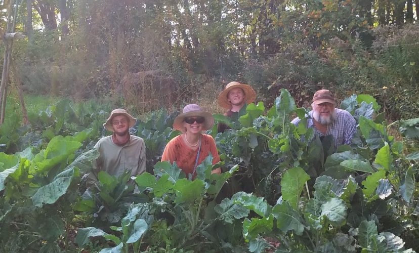 The Wiederkehr family poses in a patch of perennial kale. Theo, Ruth, Andre and Miles Wiederkehr (featured from left to right) have lived on their 100-acre farm in Ontario, Canada, for over a decade. In the last few years, since Theo and Andre graduated from Conrad Grebel University College, they have been transitioning to a subsistence farming model. 100 acres is way too much land for one family, Andre said; they are currently looking for others to join them in living “on and from” the land. Photo by Susan Bauman.